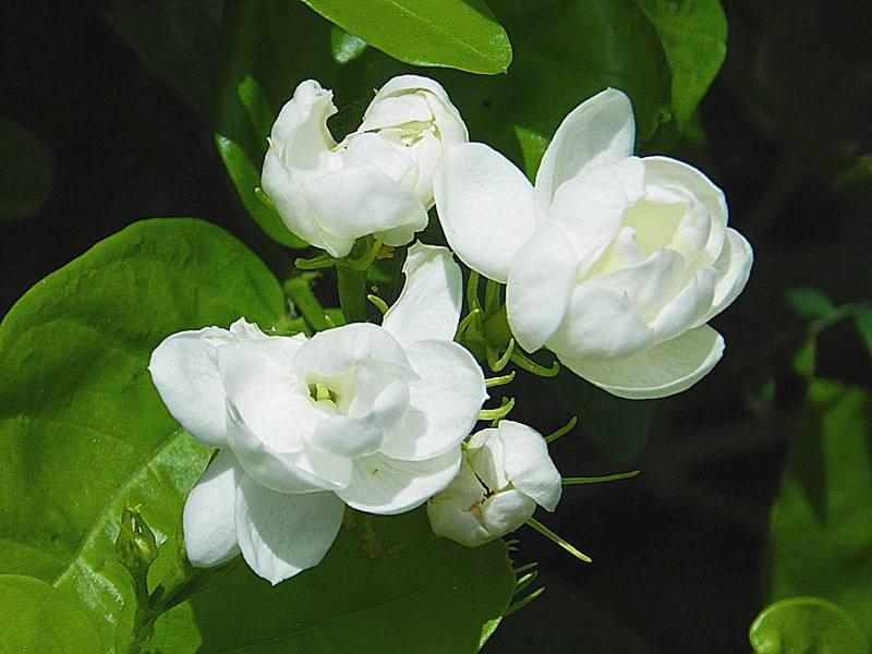 「冰山一角的趣味」时刻告诉自己，我很重要