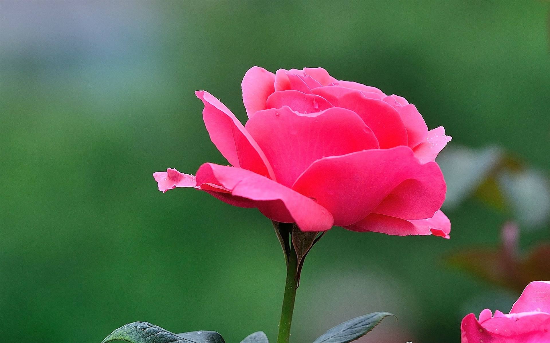 #冰山一角的趣味#你猜他到底是不是个傻子