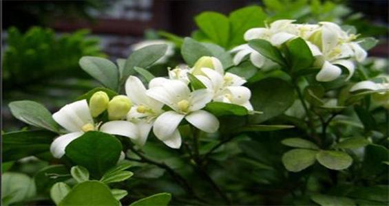 「强强联手在乐趣」善用时间是一个良好的习惯