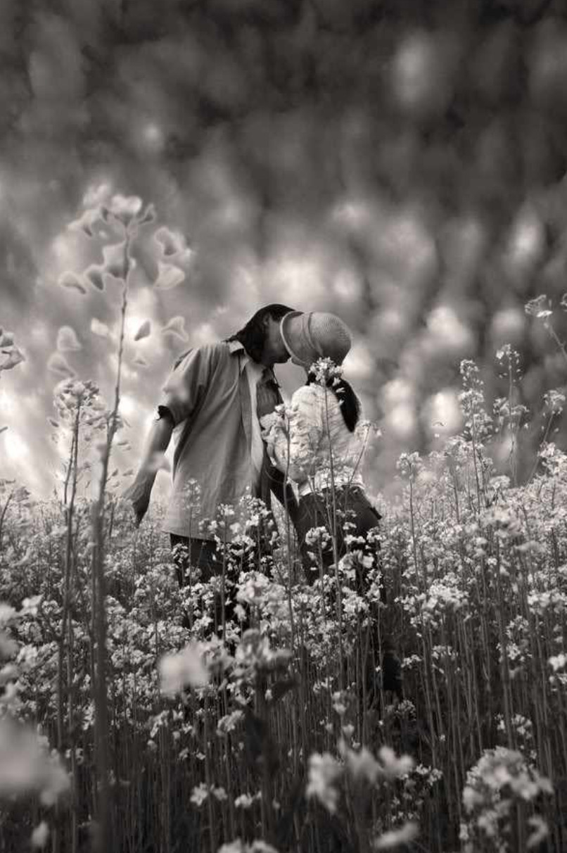 柒百忆@没有结局的故事太多，你要习惯相遇与离别