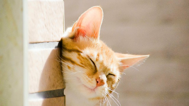 #文惠育儿无忧#对生活很丧的句子，有深度有哲理，说到心坎了