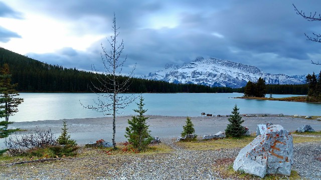 #文惠育儿无忧#对生活很丧的句子，有深度有哲理，说到心坎了