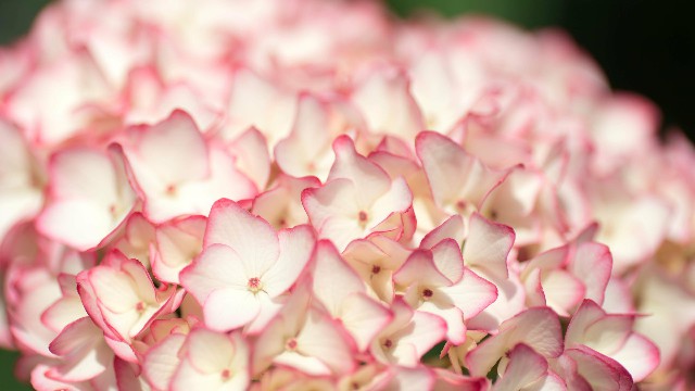 雅中讲时尚■适合晚上发朋友圈的语录，句句压抑，看完心里暖暖的