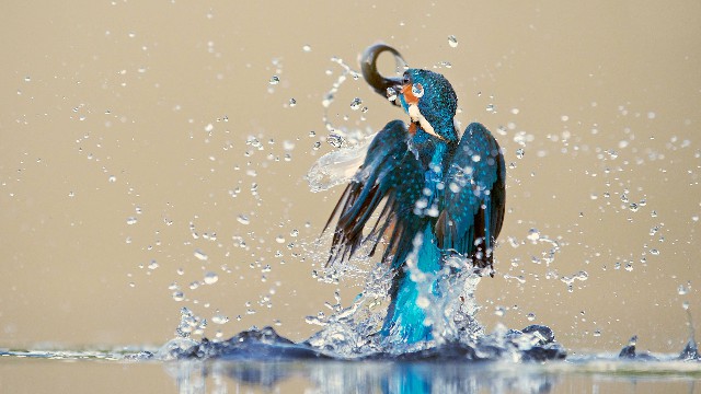 「雅中讲时尚」心里苦没人懂的句子，经典透彻，看懂活得更明白