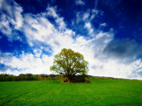 「雅中讲时尚」心里苦没人懂的句子，经典透彻，看懂活得更明白