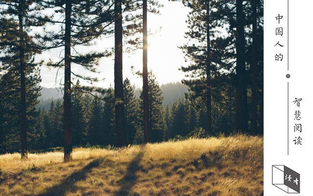 [爱情情感密码]独处，对成年人的好处