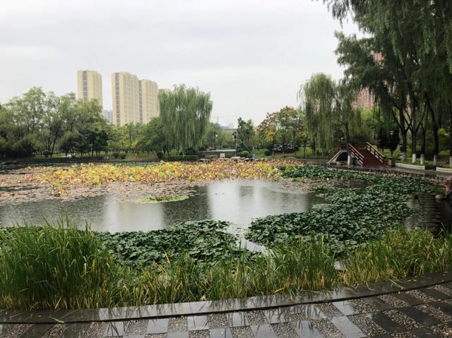 「文思泉涌」一夜之间，天就冷了