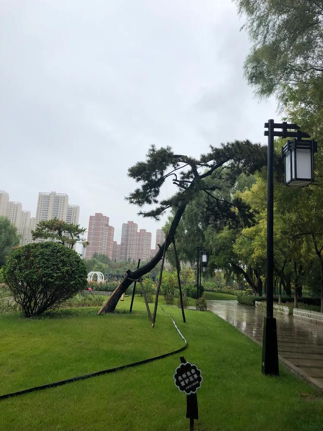 「文思泉涌」一夜之间，天就冷了