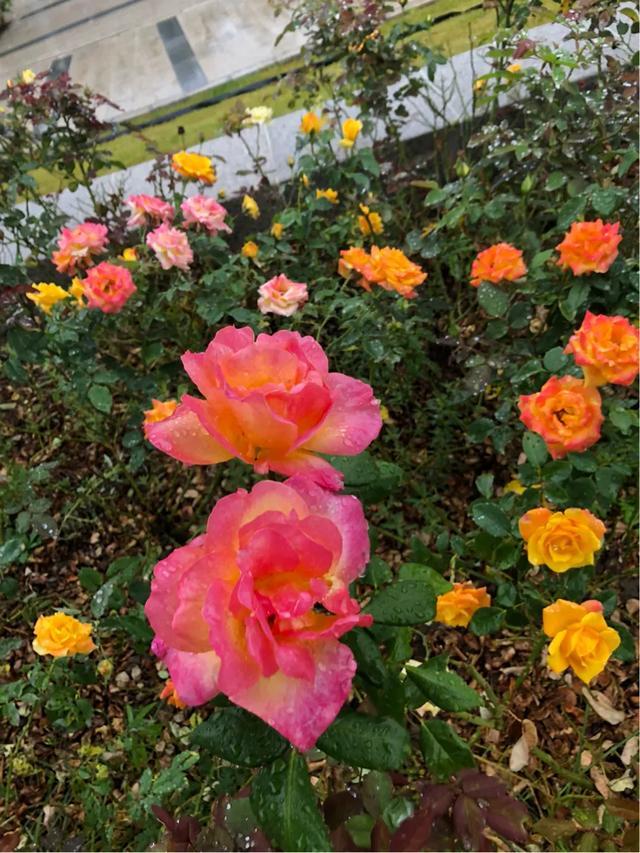 「文思泉涌」一夜之间，天就冷了