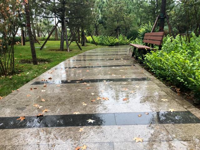 「文思泉涌」一夜之间，天就冷了