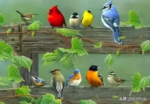 「竹之道」拥有真诚的朋友，比拥有黄金更快乐