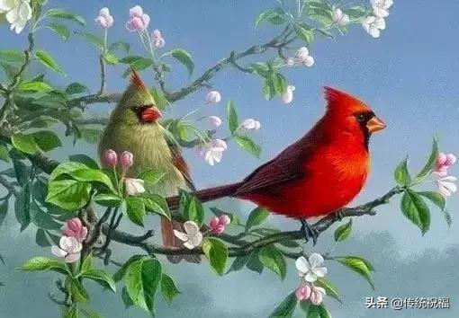 「竹之道」拥有真诚的朋友，比拥有黄金更快乐