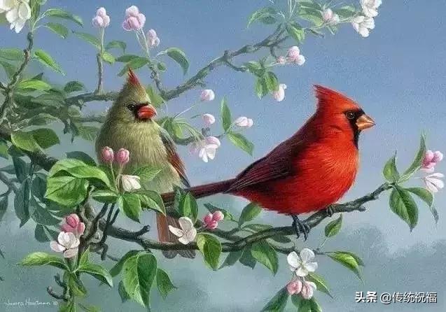 「竹之道」拥有真诚的朋友，比拥有黄金更快乐