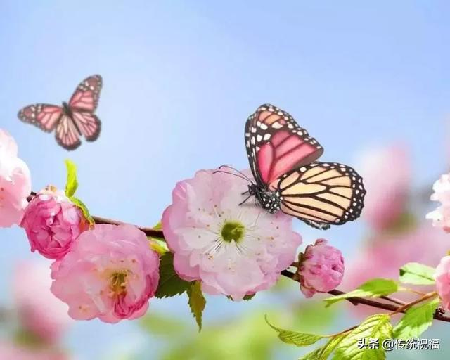 「竹之道」拥有真诚的朋友，比拥有黄金更快乐