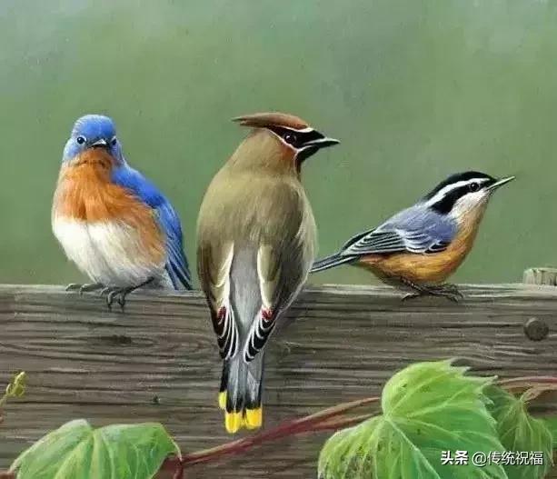 「竹之道」拥有真诚的朋友，比拥有黄金更快乐