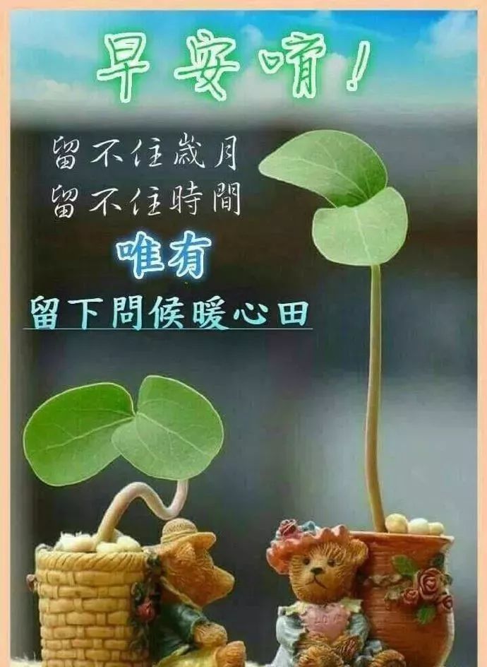 心灵悦读：特漂亮的早上好问候祝福语 最美的早安问候表情图片带字