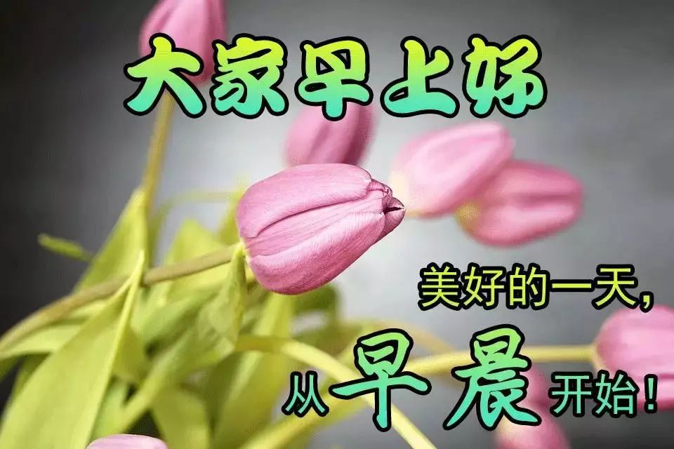 心灵悦读：特漂亮的早上好问候祝福语 最美的早安问候表情图片带字