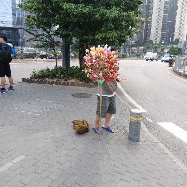 「海子的社会趣闻录」在深圳，没有努力过就永远无法感受深圳的魅力