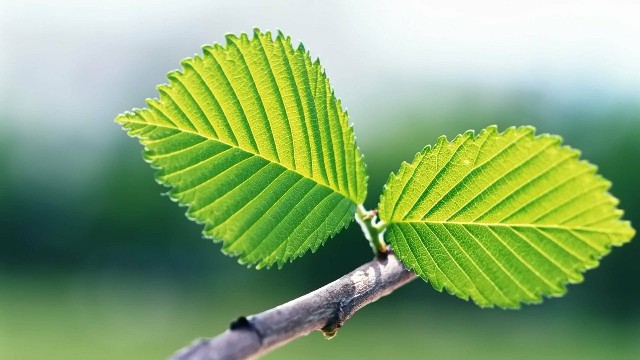 森音阁■心里苦没人懂的句子，积极乐观，第6句真的很伤感