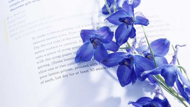 森音阁■心里苦没人懂的句子，积极乐观，第6句真的很伤感