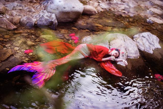 【嘤兀】小说：一年之中，能发生多少让人匪夷所思的事情？