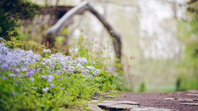 津榜谈情感■女生坚强到心酸的说说，句句写到心坎上，哪一句刺痛了你的心
