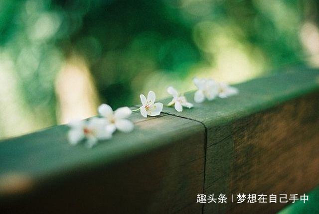 「梦想在自己手中」相识百人，不如知己一人！