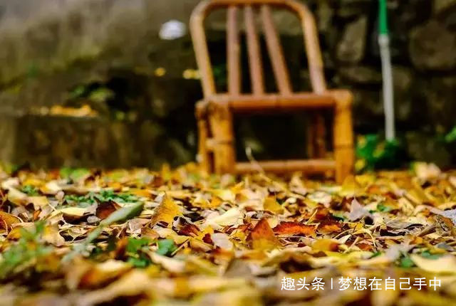 「梦想在自己手中」相识百人，不如知己一人！