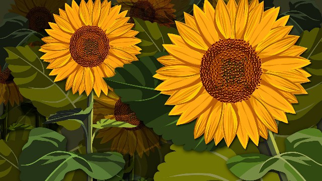 #与然讲娱乐#2019最火的微信签名，经典短句，哪一句触动你的心了