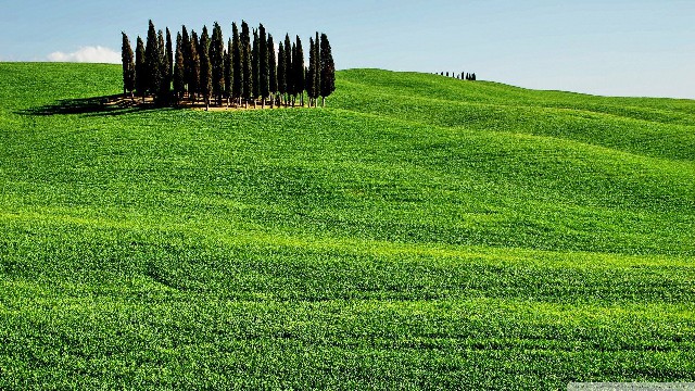 #与然讲娱乐#2019最火的微信签名，经典短句，哪一句触动你的心了