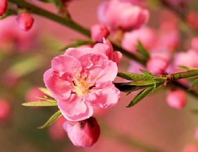 追梦人的道路@牛人都是熬出来的