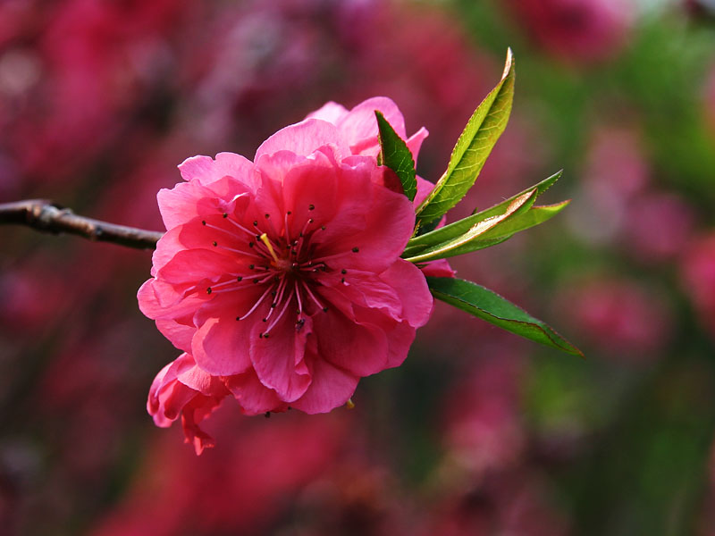 追梦人的道路@牛人都是熬出来的