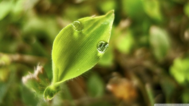 「与然讲娱乐」适合晚上发朋友圈的语录，经典透彻，送给最爱的人