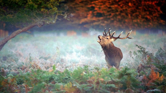 「与然讲娱乐」适合晚上发朋友圈的语录，经典透彻，送给最爱的人