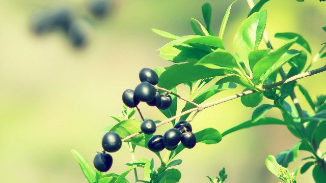 「与然讲娱乐」适合晚上发朋友圈的语录，经典透彻，送给最爱的人