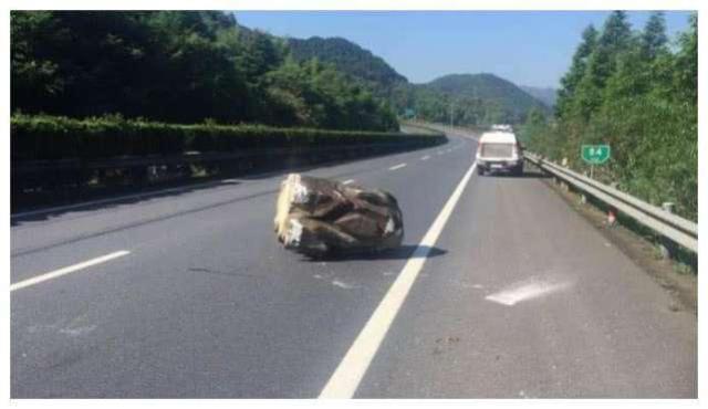 【车式样】开车上高速，遇到大石头怎么办？是躲还是撞，车主很纠结