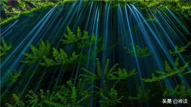 「励志瑾康」人人都有错过，人人都有选择