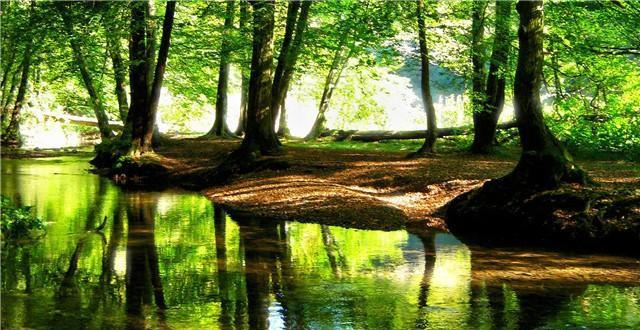 「禅读TB」握清欢在手，掬淡泊于心