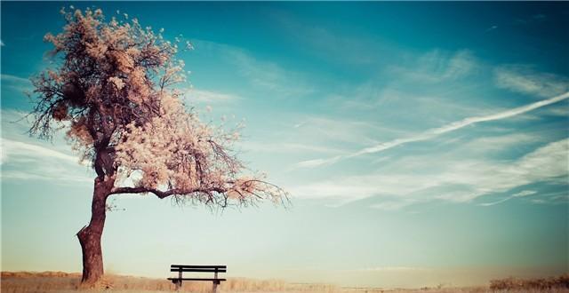 「禅读TB」握清欢在手，掬淡泊于心