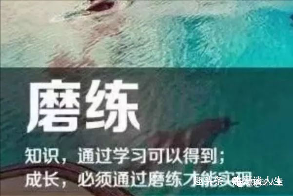 「牛哥谈人生」人在山巅少得意谁都会有低谷时。身陷低谷莫丧气总有风云再起时。