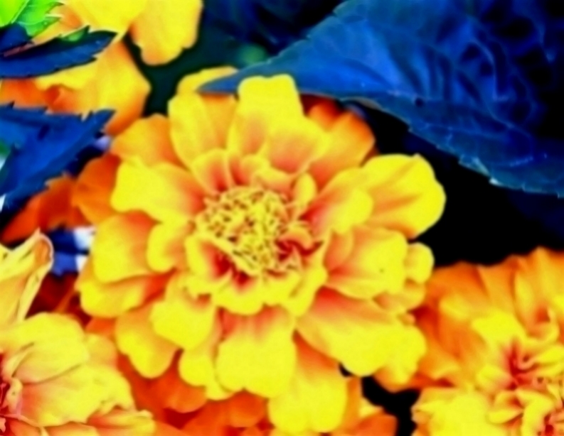 【情感新淼】最值得信赖的三生肖，成熟踏实有上进心，对妻子十分慷慨