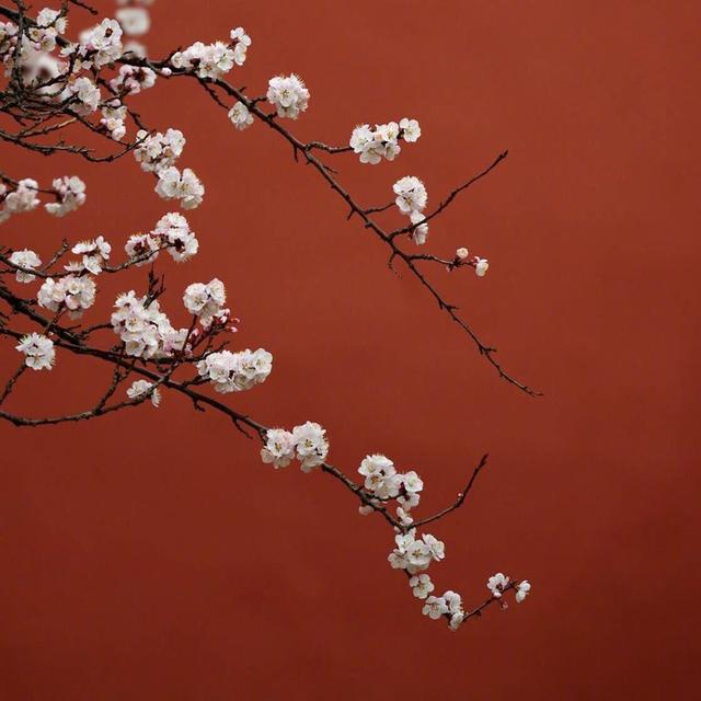 Belieber吖：网易云音乐 感人评论