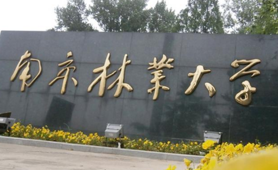 2011年，南京1所大学发现锦衣卫坟墓，1件宝物专家估值超1亿元