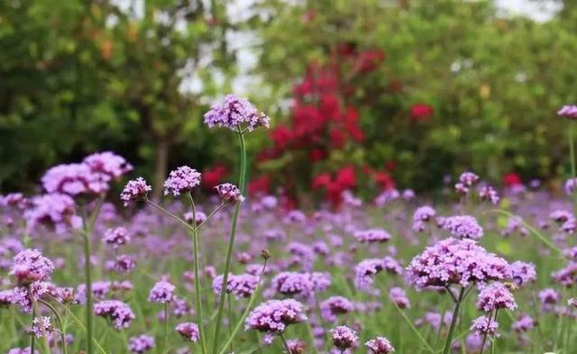 [校园留声机]做人，要懂得规矩和自律