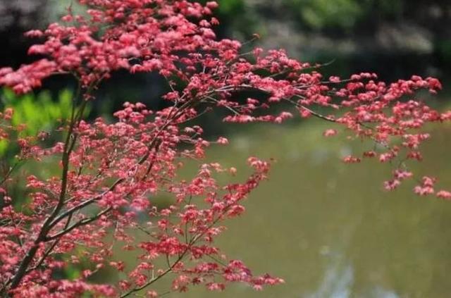 [校园留声机]做人，要懂得规矩和自律