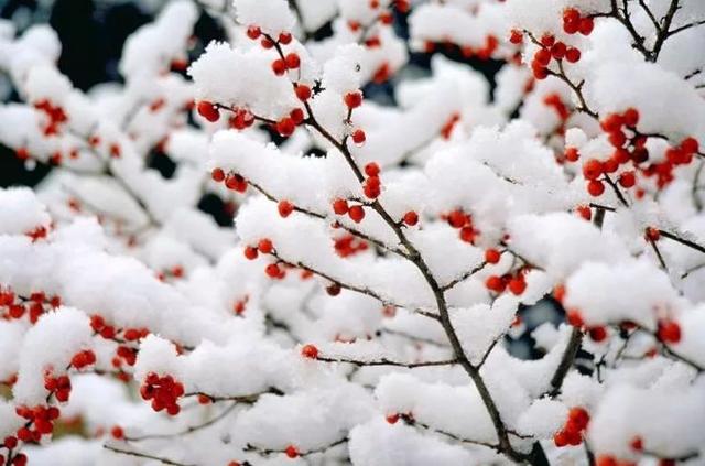 [校园留声机]做人，要懂得规矩和自律