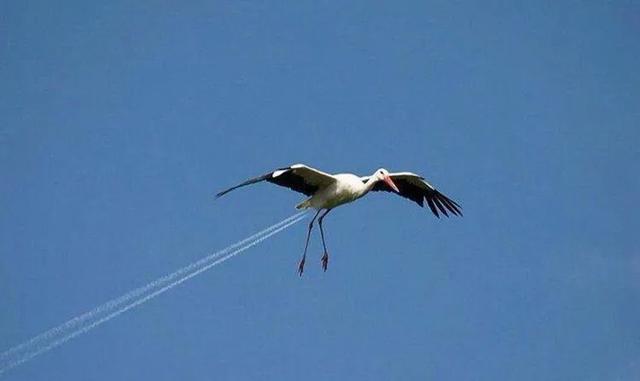 校园留声机■每天都来放松一下心情吧