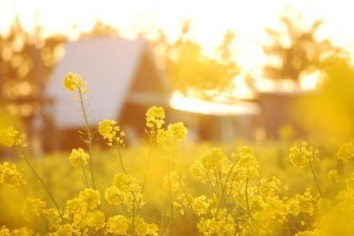 俏翠：陌生人的信任，是一种最简单的温暖