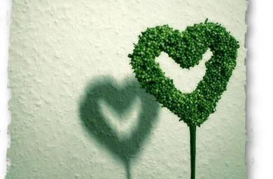 柠檬美文@送你 9 颗心，一定要收好！赶快收藏