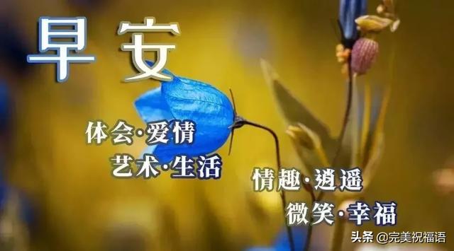 子衿悠悠@早上好最新版阳光暖心的祝福语录带图片